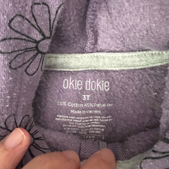 Hooded Zip Up Sweatshirt, 3T - Picture 2 of 4